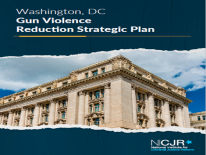 Image displays the cover page of the NICJR Gun Violence Reduction Strategic Plan with a government building on the cover